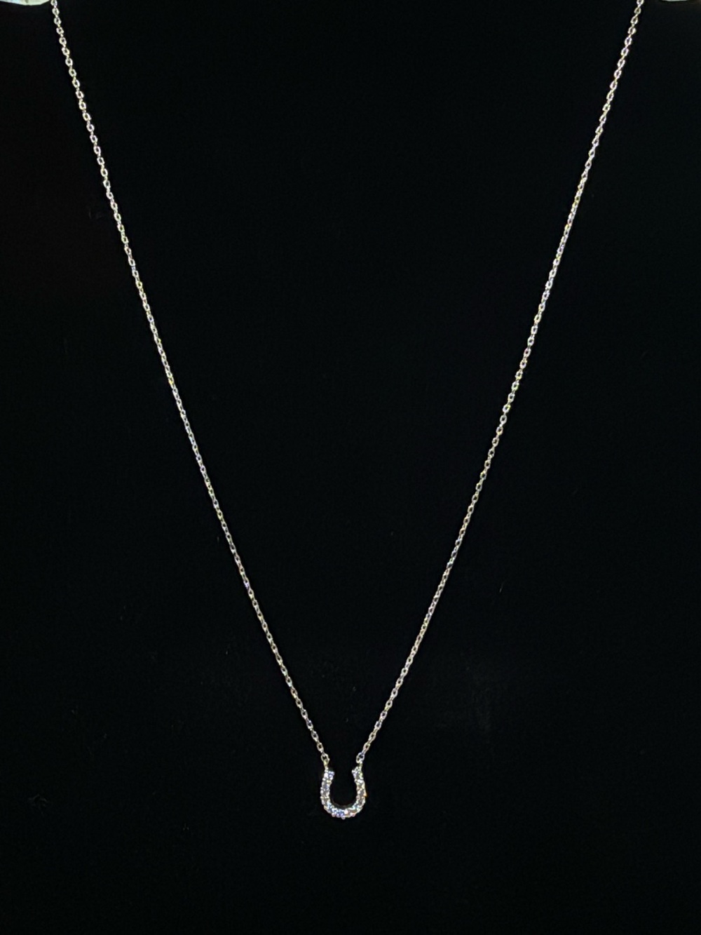Delicate Horseshoe Pendant Necklace in Silver